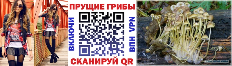 Псилоцибиновые грибы мухоморы  Рыльск 